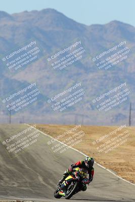 media/Feb-02-2025-Race Pace (Sun) [[84aa3aff12]]/1-Verified/4-Turn 10 Tip In (1025am)/